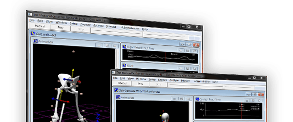 motion-analysis2